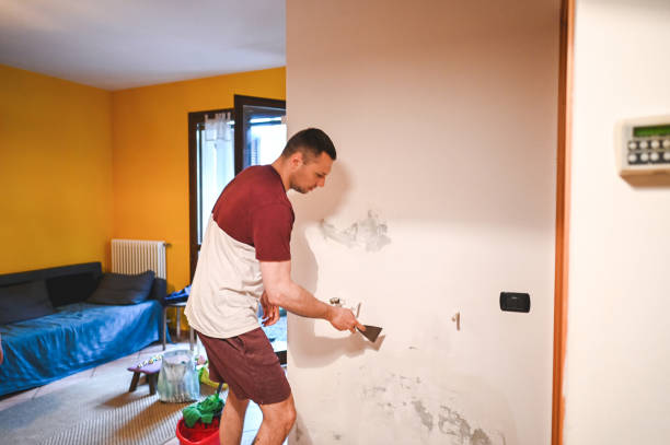 Best Basement Mold Remediation in Lawton, MI